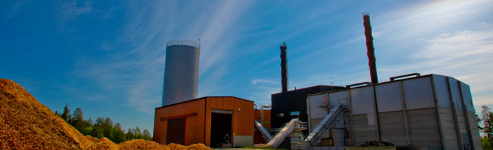 Biomass processing Biomass processing