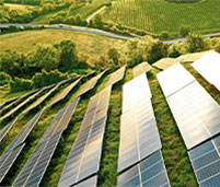 Solar panels surrounded by green fields
