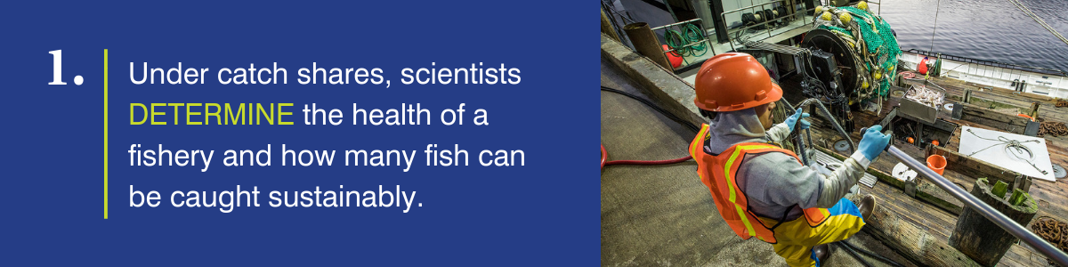 Under catch shares, scientists determine the health of a fishery and how many fish can be caught sustainably