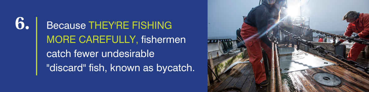 Because they're fishing more carefully, fishermen catch fewer undesirable discard fish, known as bycatch.