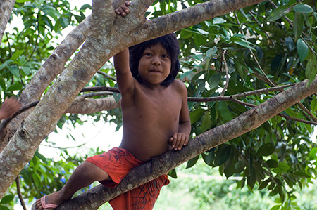 Child in a tree