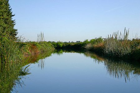 Mokelumne canal Mokelumne canal
