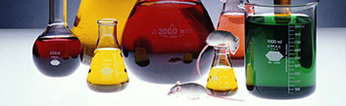 Laboratory Glassware and Mice Laboratory Glassware and Mice