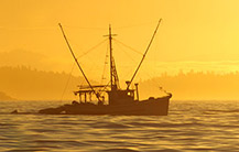 United States fisheries