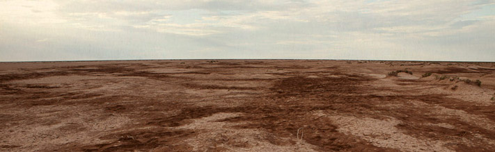 Photo of the Delta