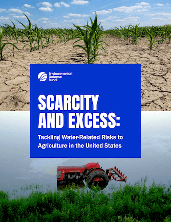 Cover of Excess and Scarcity: Tackling Water-Related Risks to Agriculture in the United States
