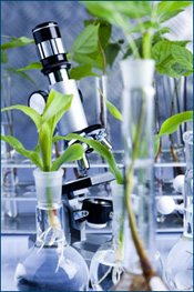 HT technology could help in the design of safer chemicals by quickly screening out potentially toxic chemicals during chemical development Microscope surrounded by plants