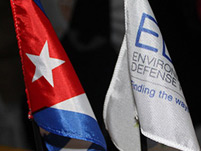 Cuba and EDF flags