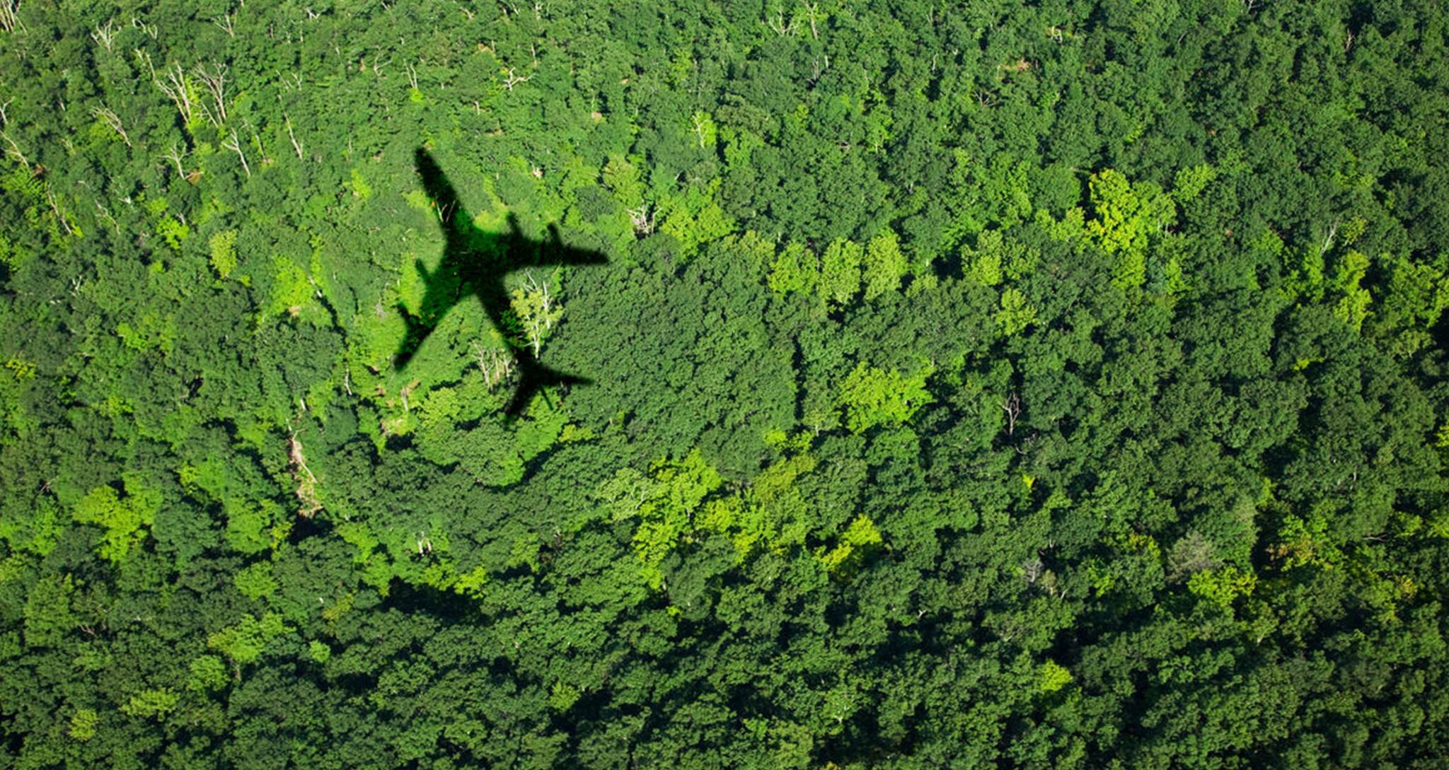 carbon footprint air travel