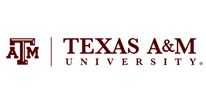texas AM University