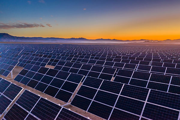 [insert description]