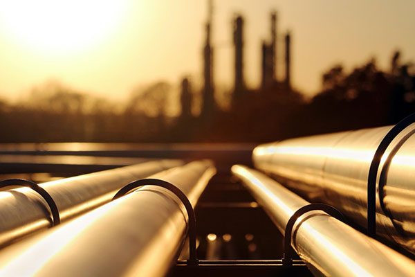 [insert description]