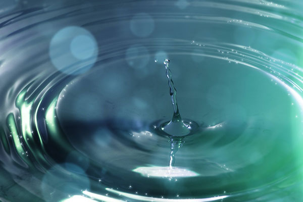 [insert description]