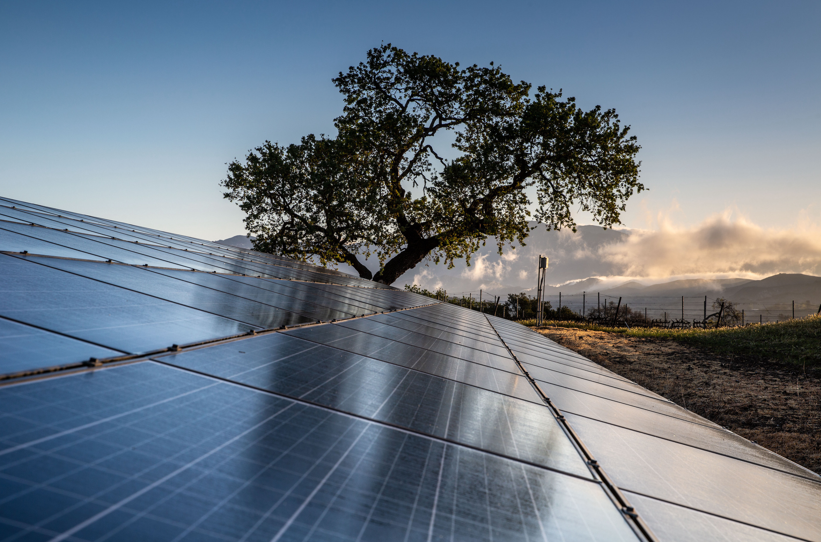 Solar panels with tree and mountains in background