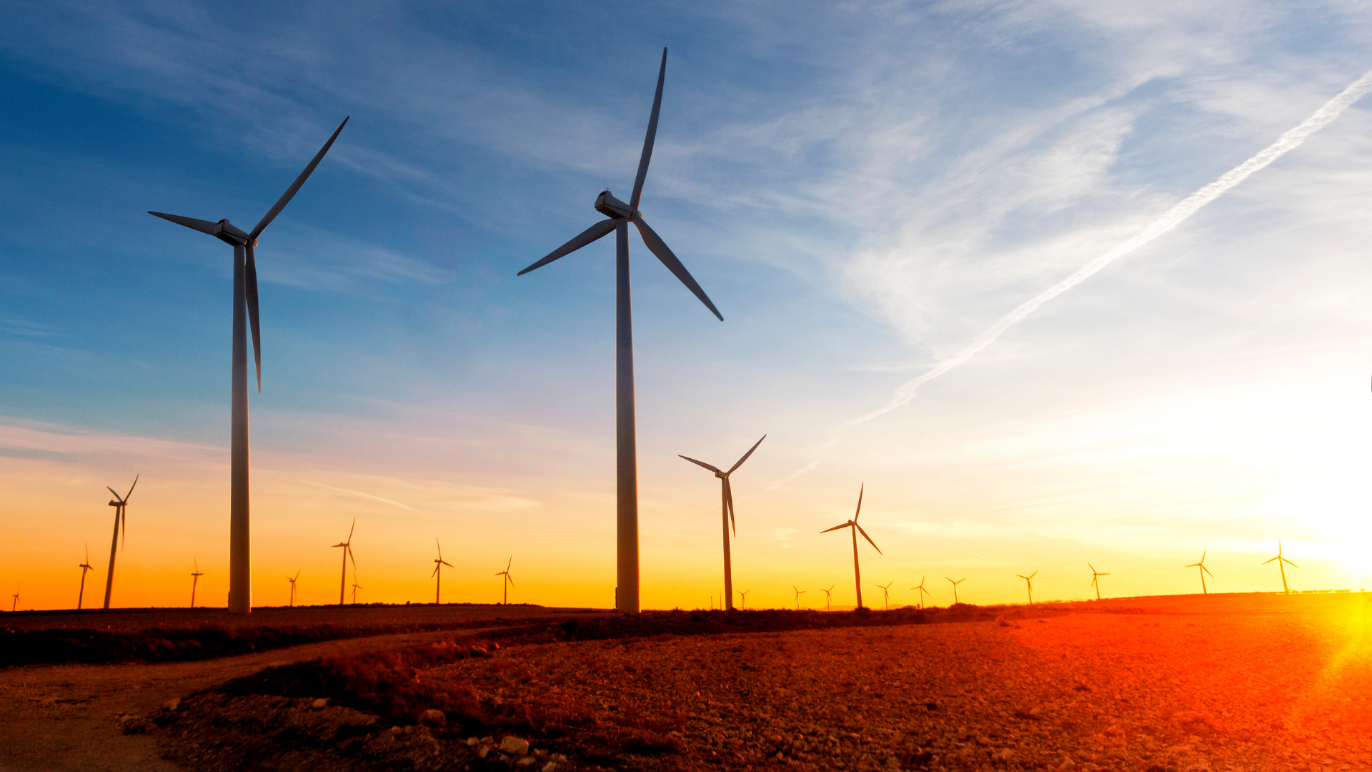 A row of wind turbines