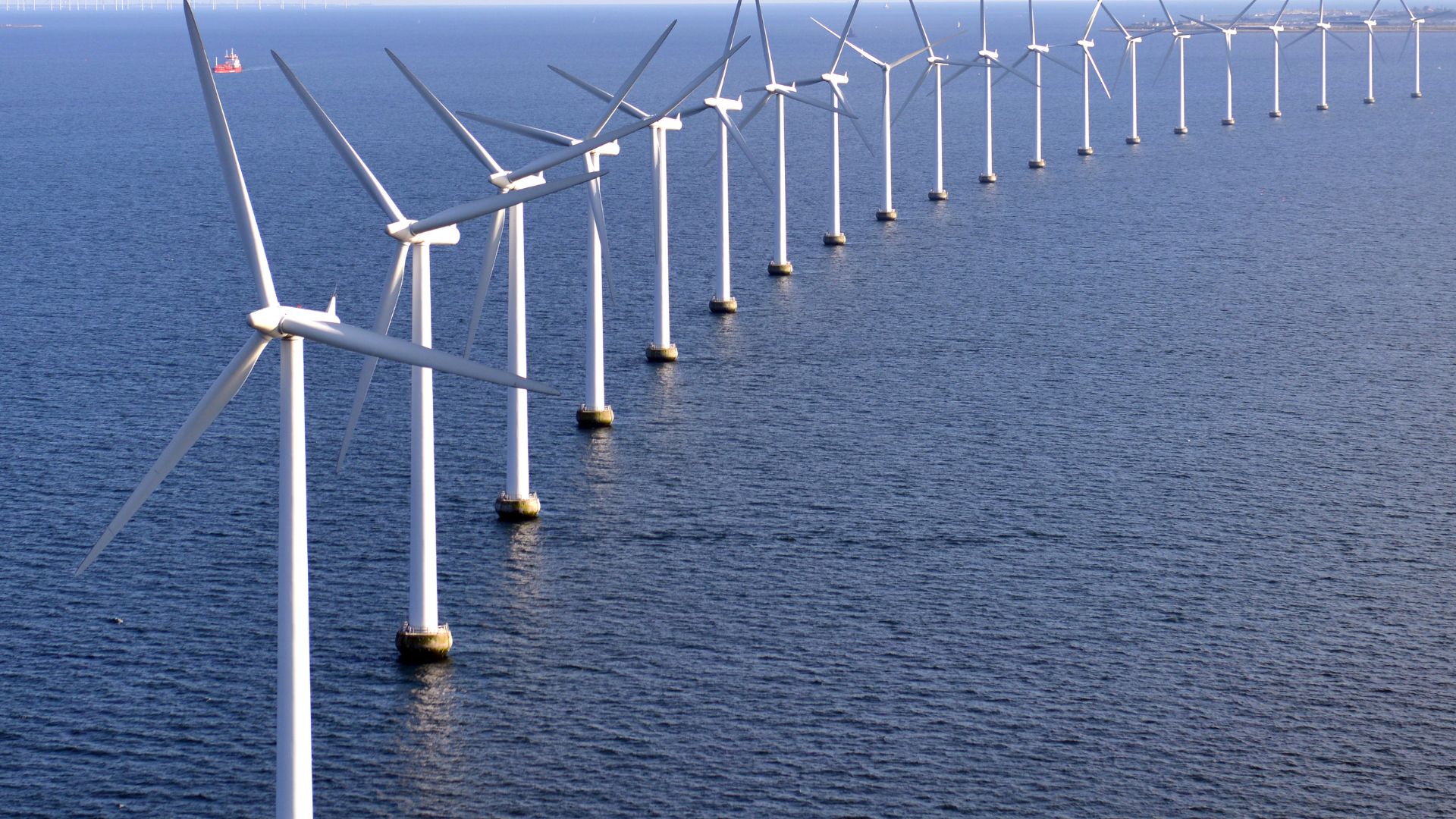 Wind turbines off the coast