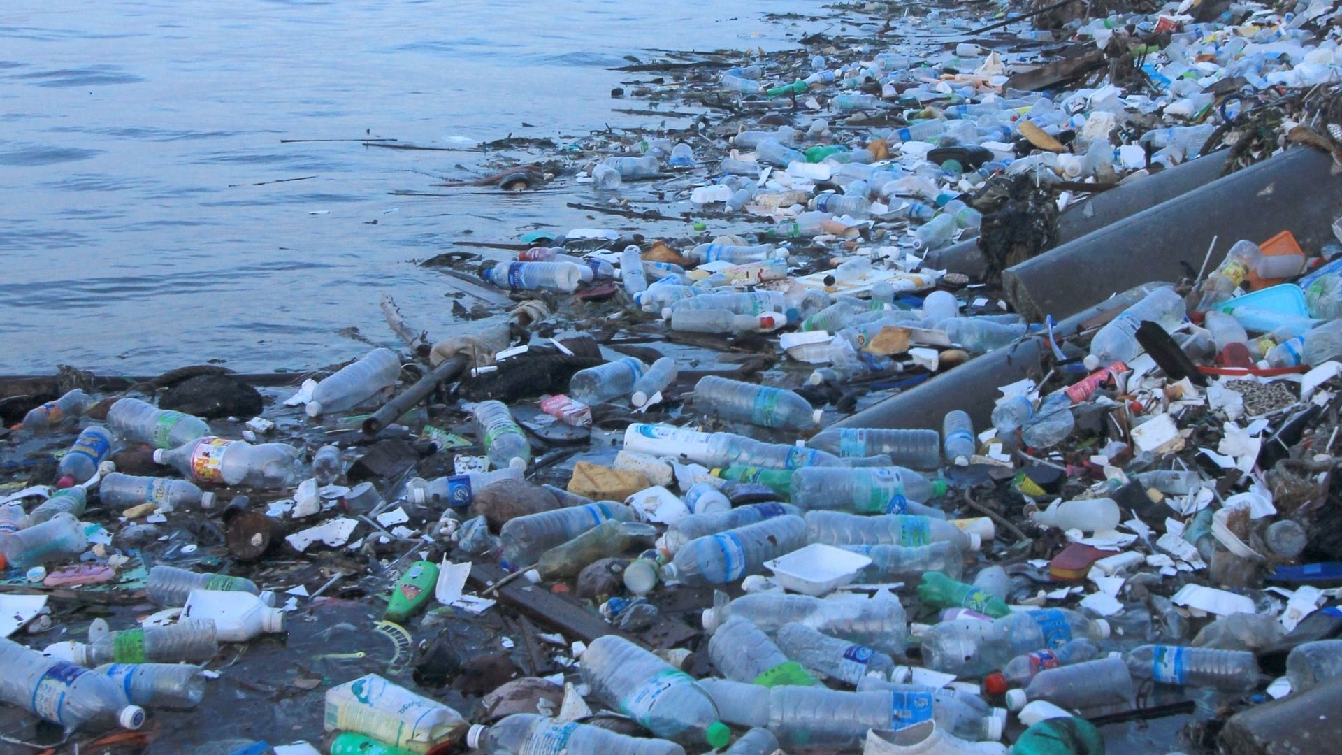 Plastic bottles cover the shoreline