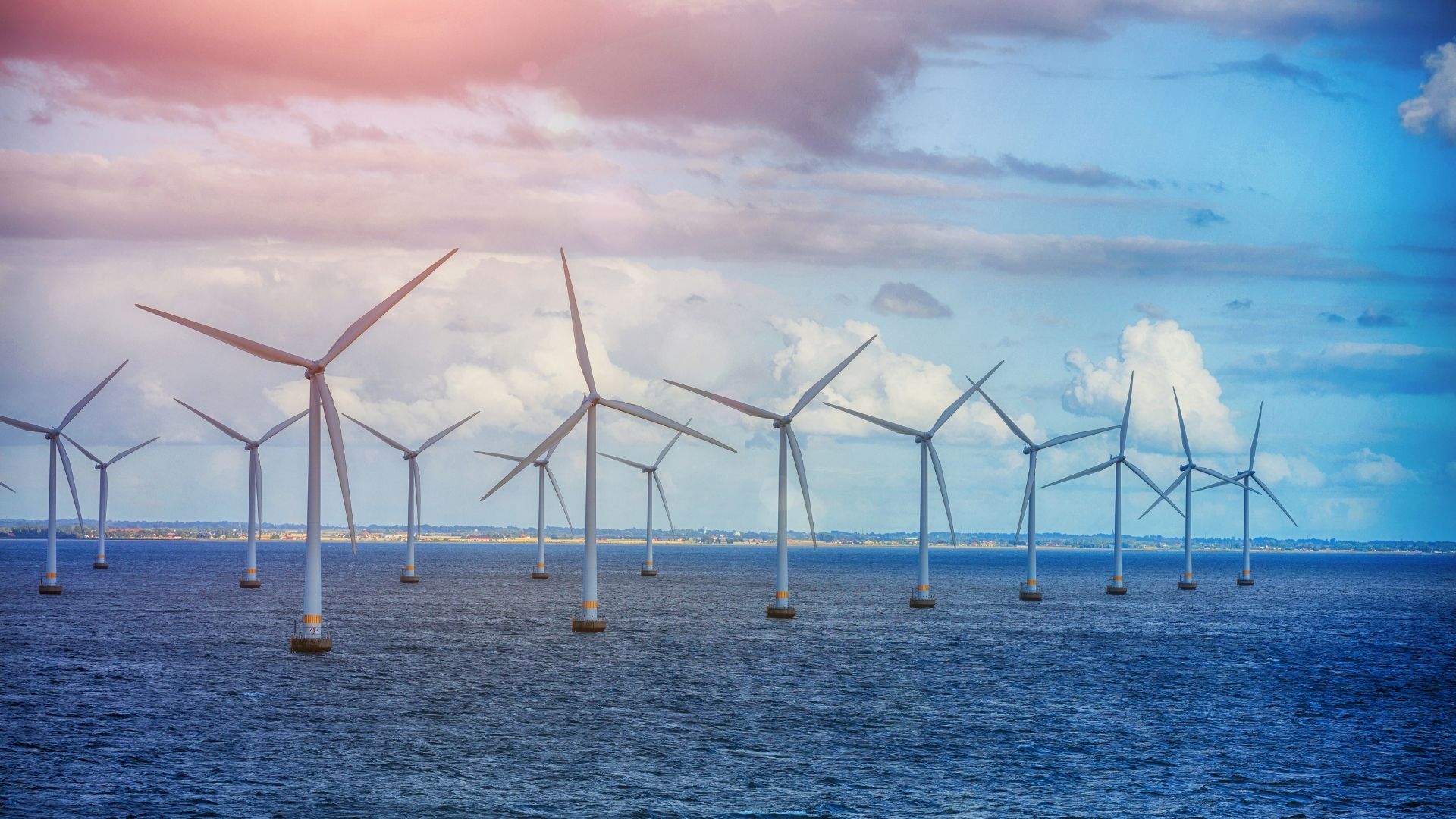 Wind turbines off the coast