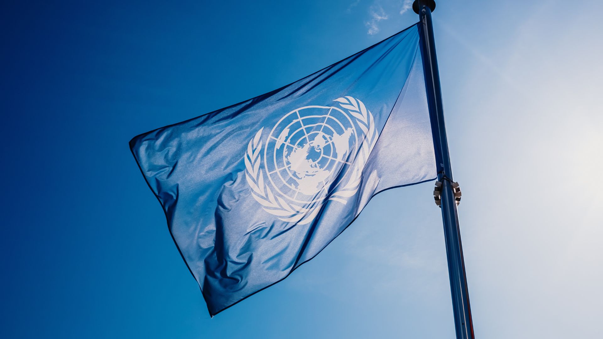 The United Nations flag
