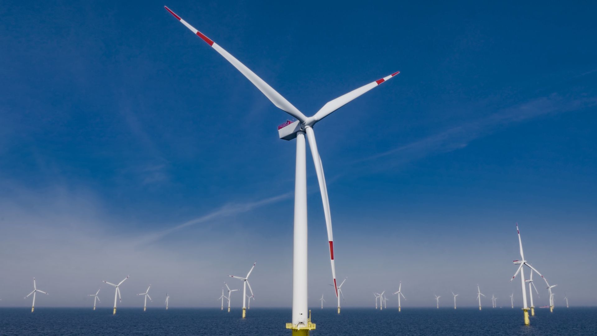 Wind turbines off the coast