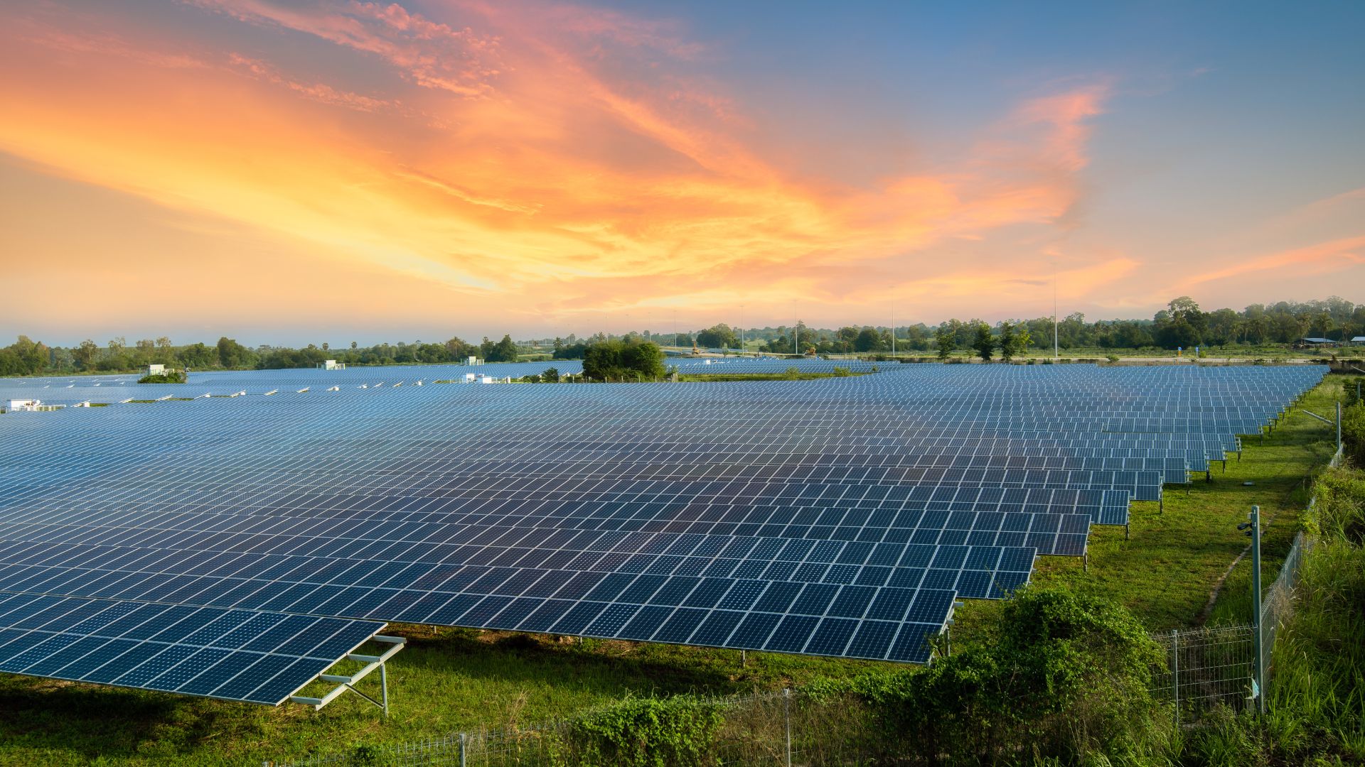 Large field of solar panels illuminated by a sunset