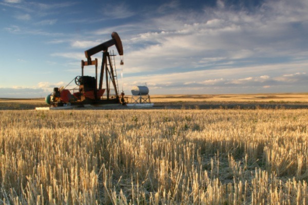 [insert description]