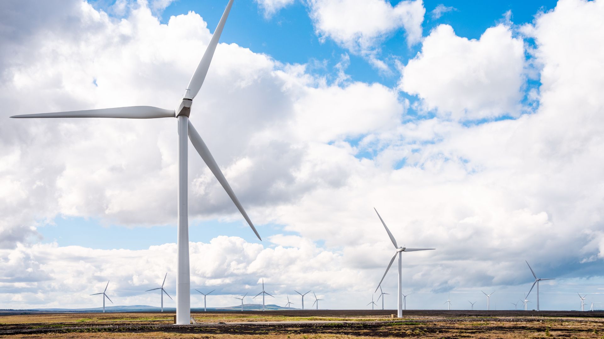 A row of wind turbines