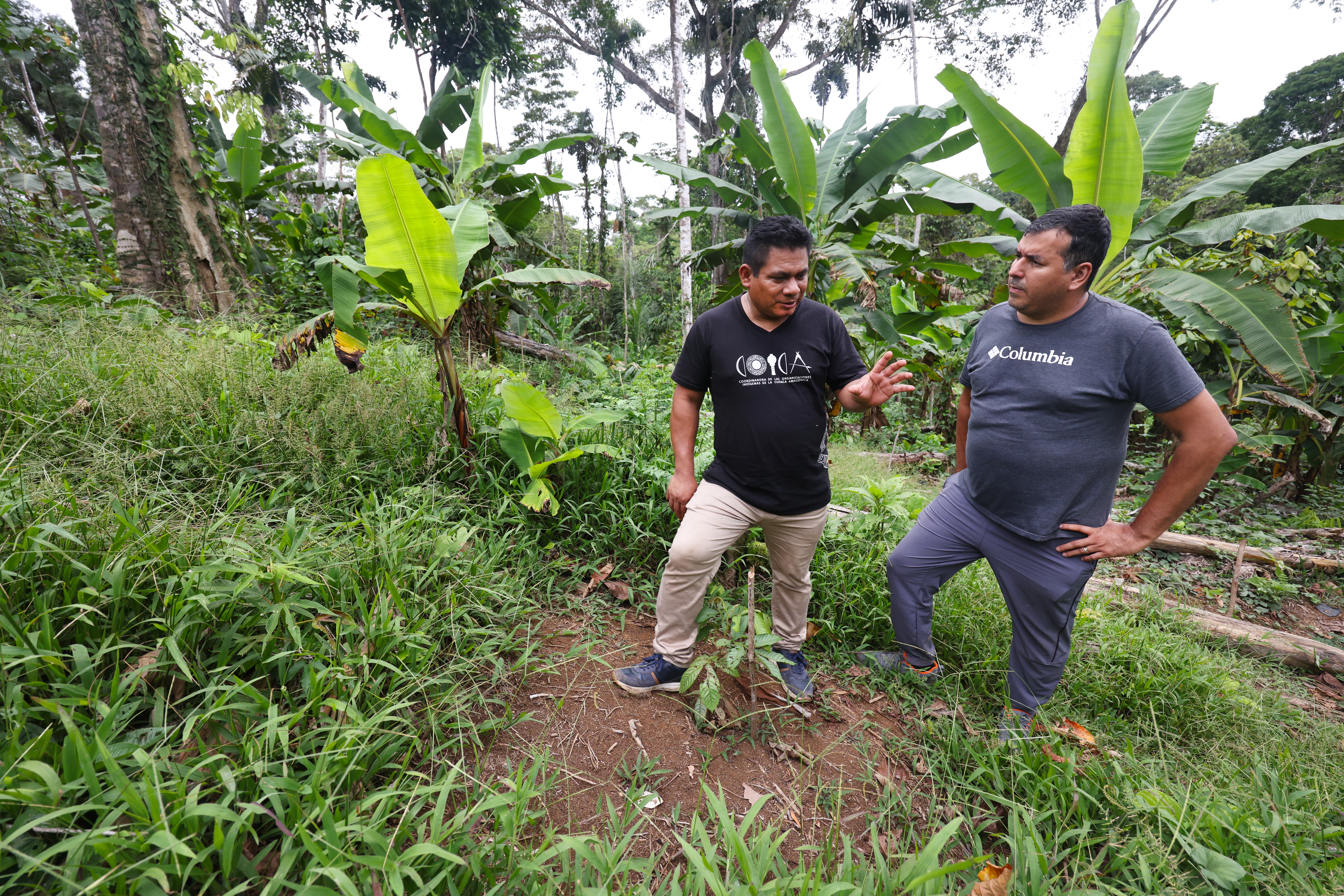 Two men walk through a jungle in Ecuador