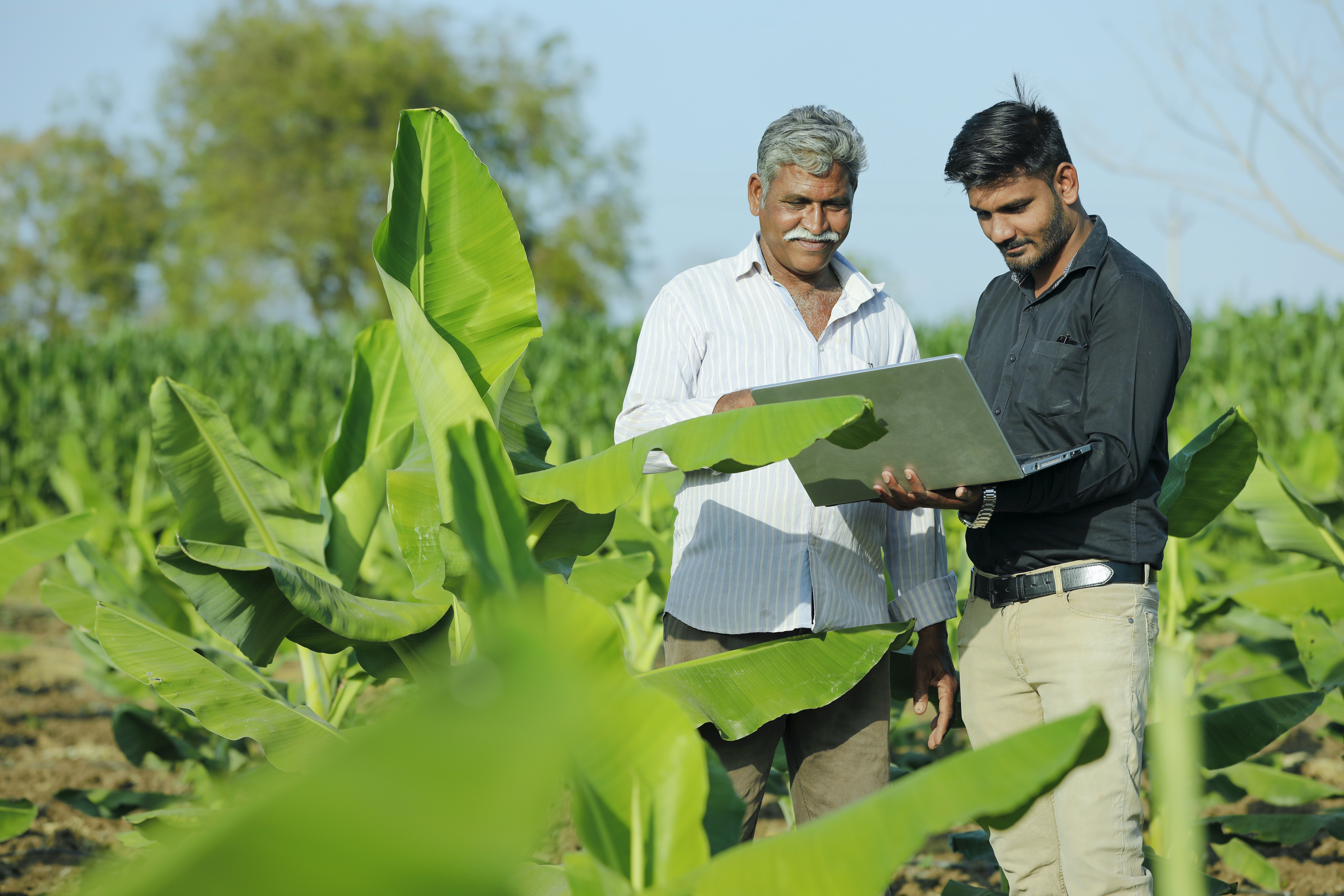 Two men standing in a field examining agricultural data on a computer