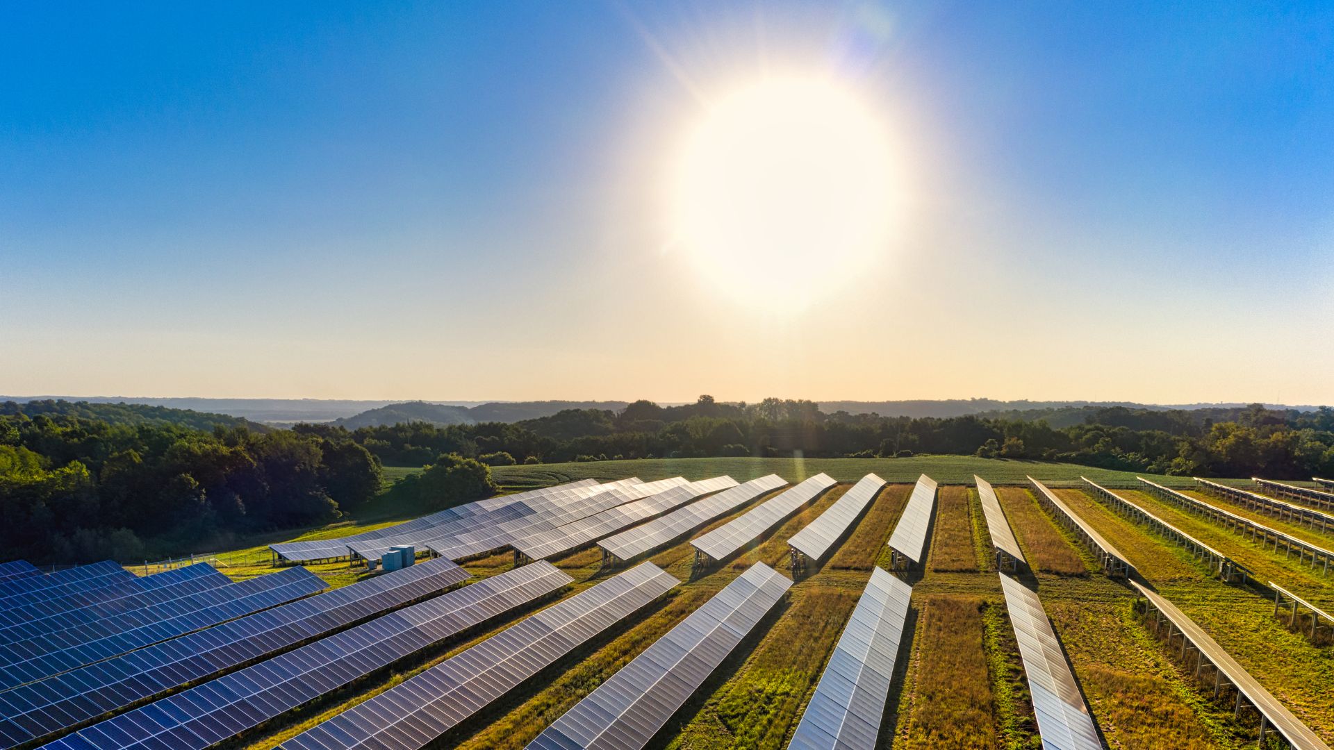 A blazing sun in the sky powers a solar panel field