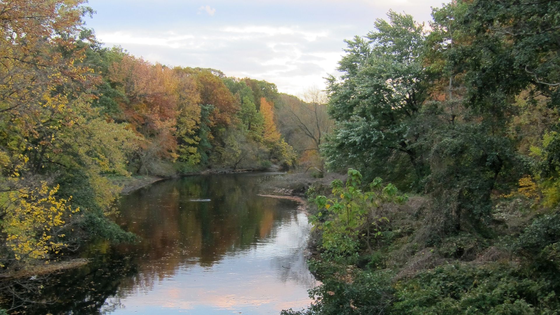 The Bronx River, but probably not the view you would expect because this is rural and wooded and not a river running New York City's third worst borough
