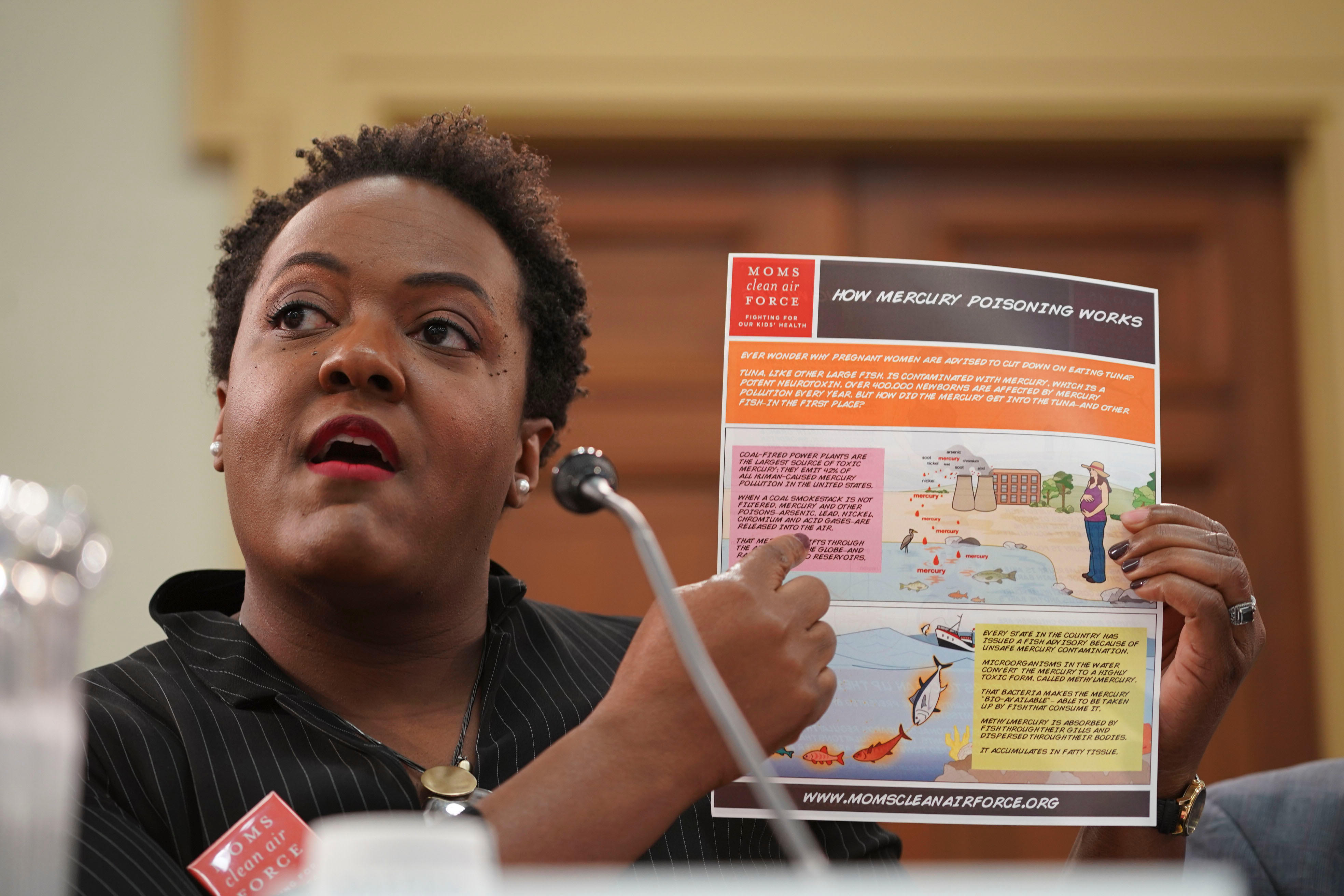 Heather McTeer Toney testifying during a hearing of the House Energy and Commerce Committee in 2019 on the EPA and mercury emissions limits