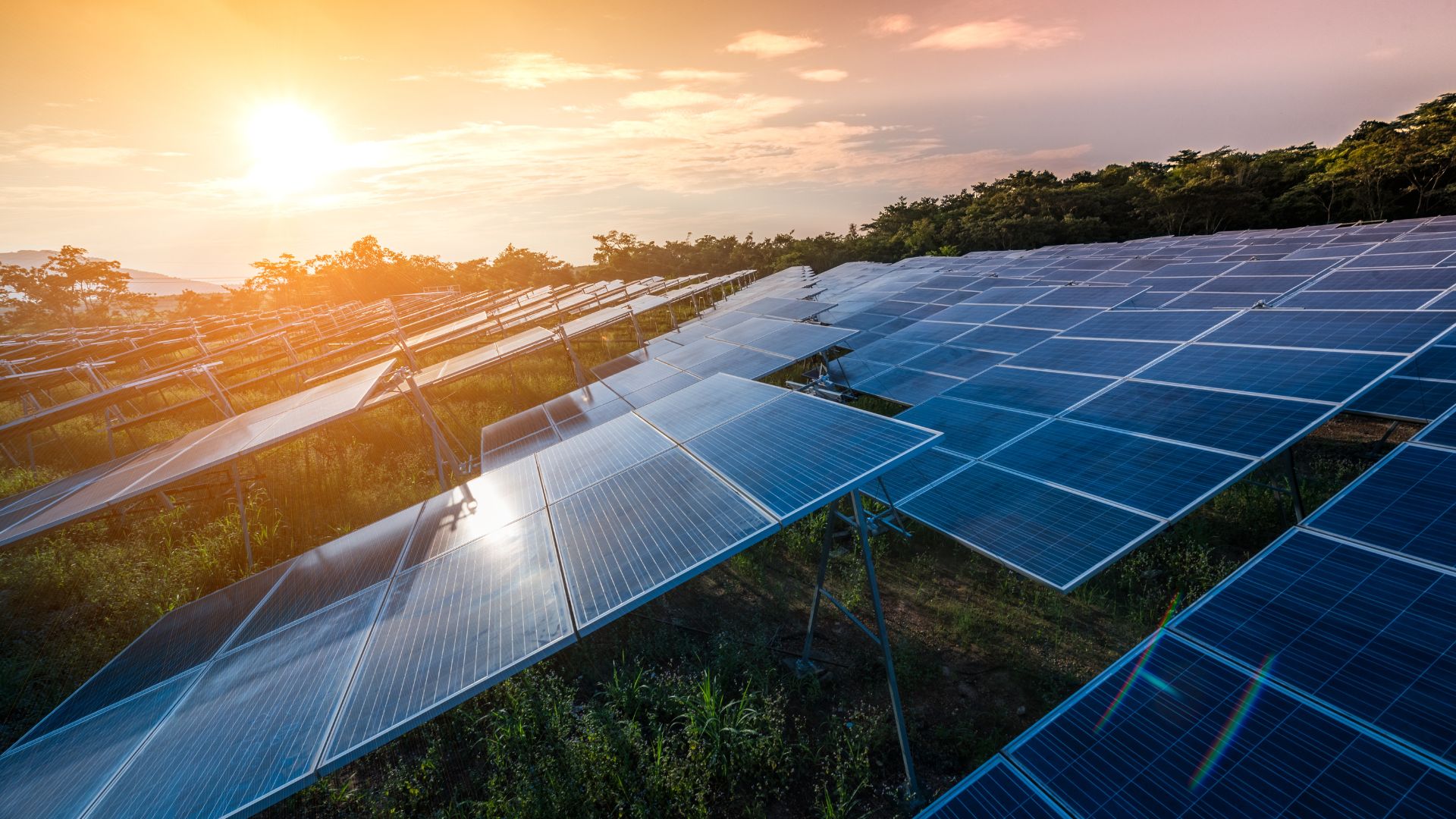 A huge row of solar panels under a setting (or rising) sun