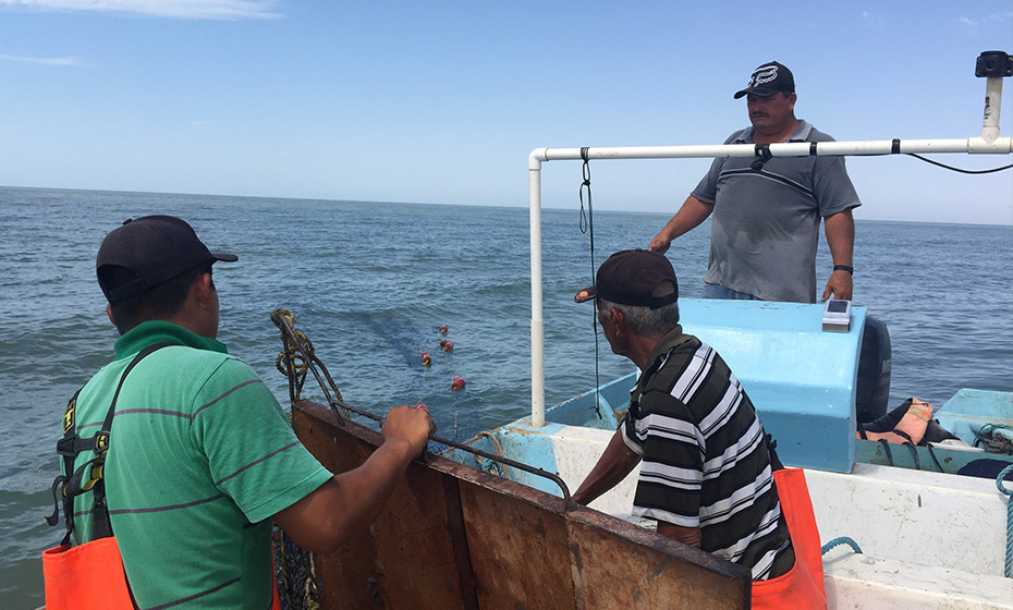 Curvina fishers in Golfo de Santa Clara, Sonora, Mexico.