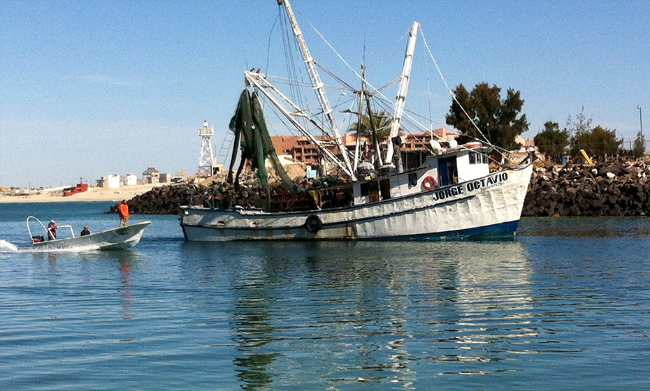A hake fishing boat in Puerto Peñasco, Sonora, Mexico.