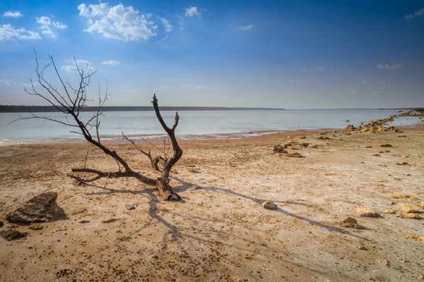 Dry lakebed