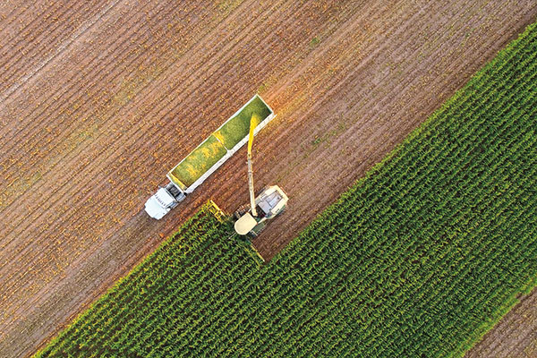 Harvesting