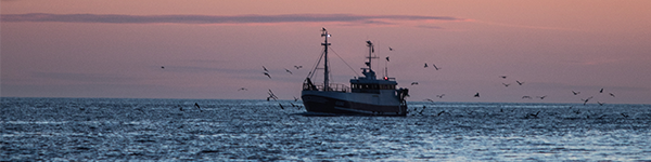 Swedish fishing boat