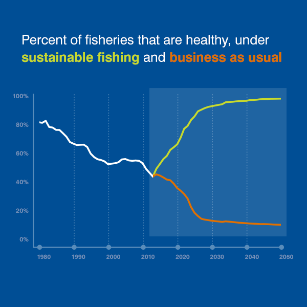 This graph shows fisheries can be healthy in as few as ten years