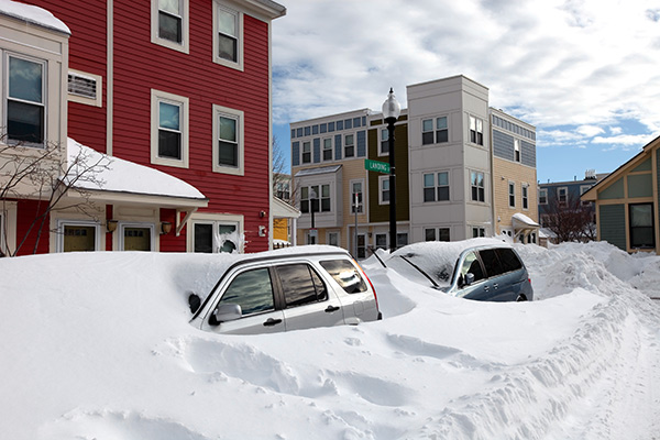 cars buried in snow