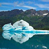 Bear Glacier