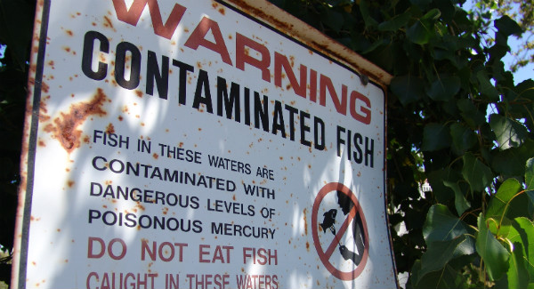 sign warning of mercury contamination sign warning of mercury contamination