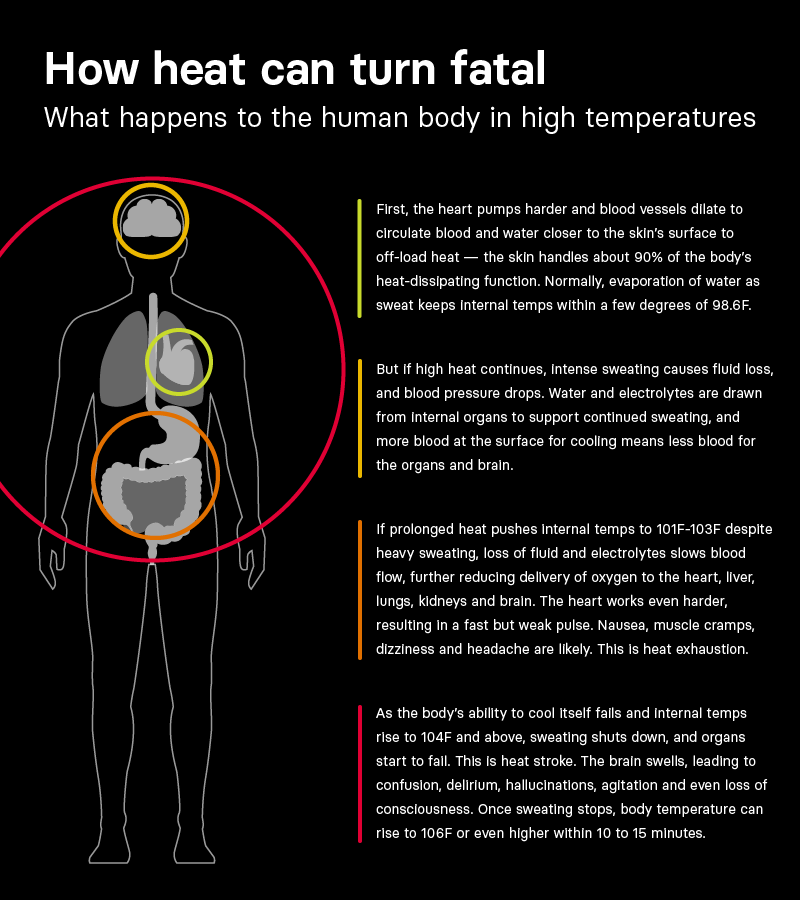 What happens to the human body in high temperatures graphic