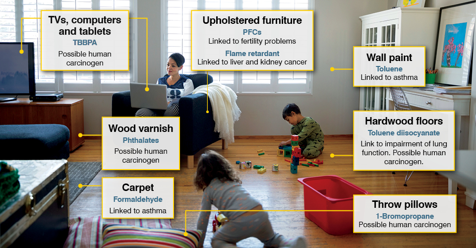 toxics in the home