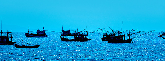 fishing boats fishing boats