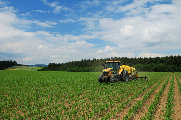 tractor in farm tractor in farm