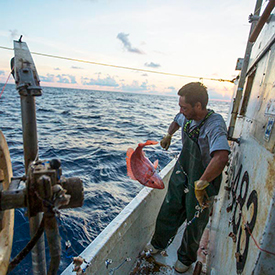 red snapper fisherman