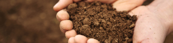 hands holding soil