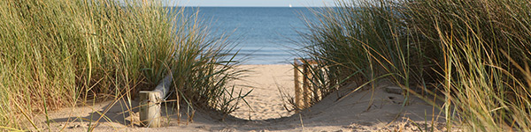 dune