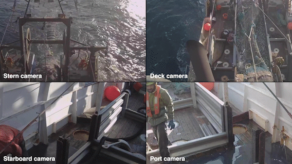 edf boat